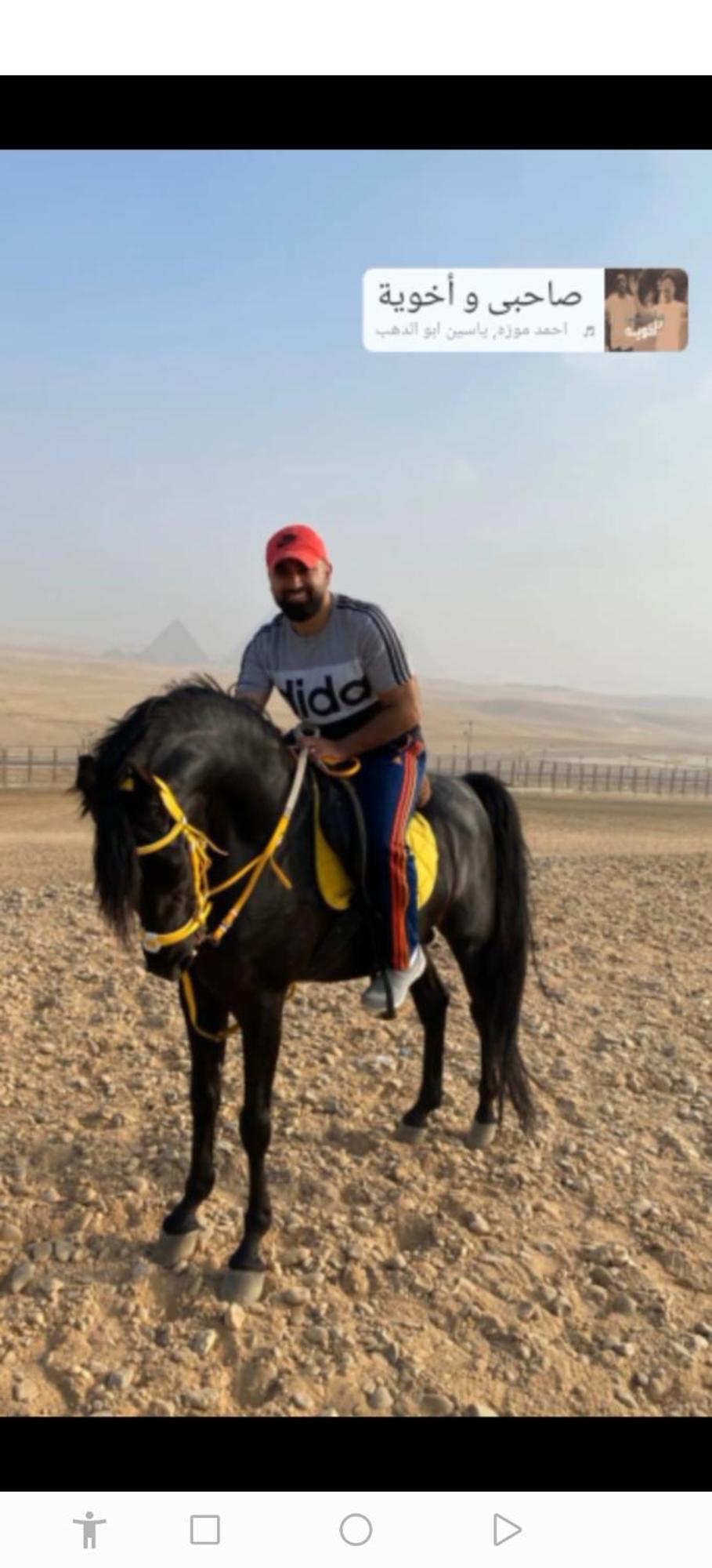 Mesho Falcon Pyramids View Inn Kafret el-Gabal Exterior foto